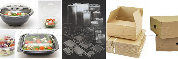 Жесткая потребительская упаковка - блистеры, гофротара, контейнеры